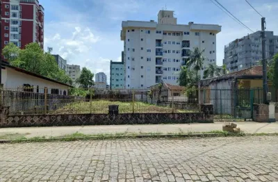 Terreno no anita garibaldi com 0 quartos para locação, 606 m²