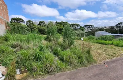 Terreno 160 m² na fazenda rio grande, bairro eucalipto, pronto para construir
