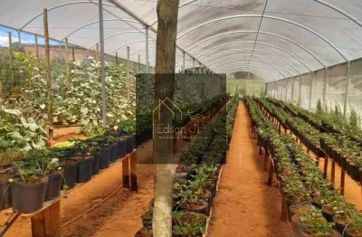 Chácara / sítio com 2 quartos à venda no Couto, Bragança Paulista 