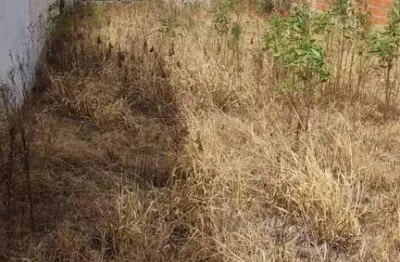 Terreno à venda na Rua Domingos Gerrero, Residencial Vila Martins, Salto