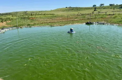 Sítio para venda em patos de minas, rural, 4 dormitórios, 3 suítes, 2 banheiros