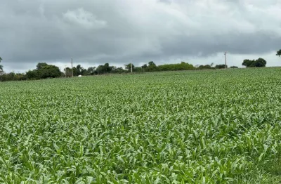 Fazenda para venda em varjão de minas, rural, 2 dormitórios, 1 banheiro