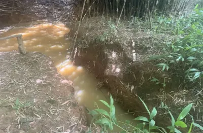 Sítio para venda em patos de minas, rural, 3 dormitórios, 1 banheiro