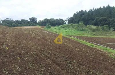 Terreno à venda no capivari, colombo  por r$ 498.000