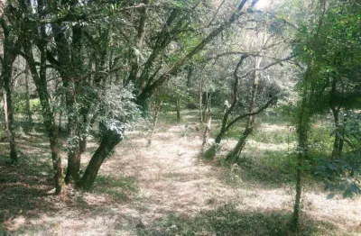 Chácara / sítio à venda na Roseira, Colombo 