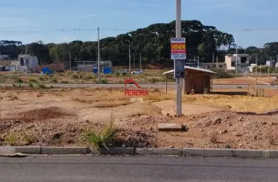 Terreno à venda na rua trento, 77, gralha azul, fazenda rio grande por r$ 115.000