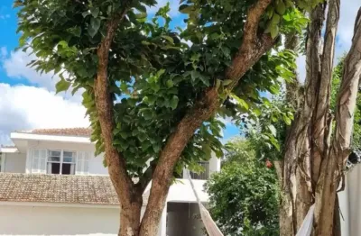 Casa com 4 quartos à venda no Jardim Botânico, Curitiba 