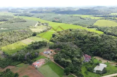 Sítio para venda em são joão do itaperiú, santa cruz, 4 dormitórios, 2 suítes, 4 banheiros