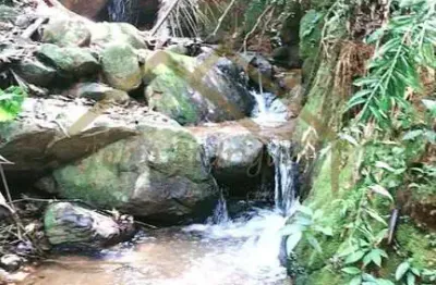 Sítio para venda em ilhota, alto baú, 2 dormitórios, 1 banheiro, 1 vaga