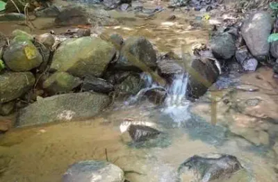 Chácara / sítio à venda na Rua Bairro Boa Vista, 00, Boa Vista, Jaraguá do Sul
