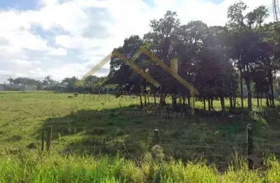 Terreno à venda na Rodovia BR-470, 00, Escalvado, Navegantes