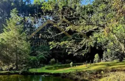 Sítio para venda em rio negrinho, são pedro, 6 dormitórios, 3 banheiros