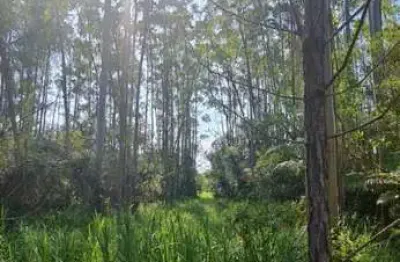 Chácara / sítio à venda na Rua Bairro Morretes, 00, Morretes, Balneário Piçarras