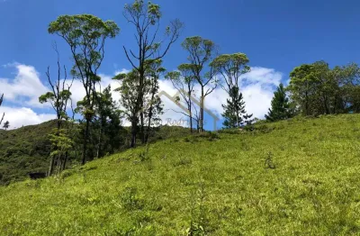 Chácara / sítio à venda na Rua Bairro Lageado Alto, 00, Lageado Alto, Guabiruba