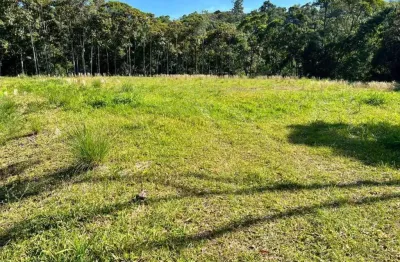Chácara / sítio à venda na Rua Bairro Alto Gasparinho, 00, Alto Gasparinho, Gaspar