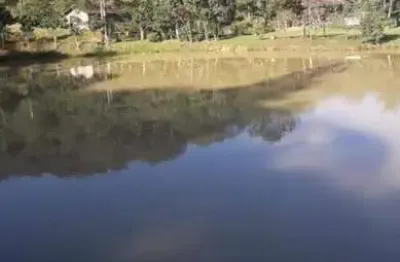 Sítio para venda em blumenau, progresso, 4 dormitórios, 2 banheiros, 2 vagas