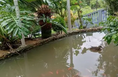 Sítio para venda em blumenau, progresso, 5 dormitórios, 2 banheiros, 2 vagas