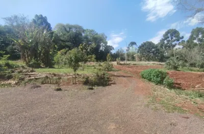 Chácara / sítio com 2 quartos à venda na Zona Rural, S/N, Rio Do Salto, Cascavel