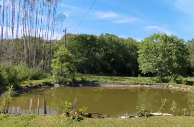 Chácara / sítio com 2 quartos à venda na Zona Rural, S/N, Rio Do Salto, Cascavel