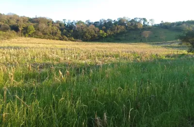 Terreno à venda na Zona Rural, S/N, Rio Do Salto, Cascavel
