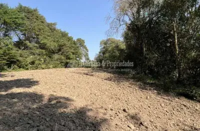 Terreno à venda na Estrada Do Felpudo, Felpudo, Campo Largo