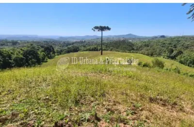 Chácara à venda no bairro itaqui de cima em campo largo/pr