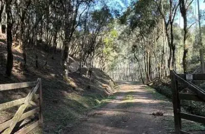 Terreno à venda na Campina Grande Do Sul, Saltinho, Campina Grande do Sul