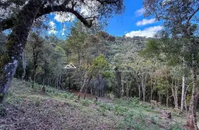 Terreno à venda na av. irineu gonçalves da silva, 1780, recanto araucária, campos do jordão por r$ 250.000
