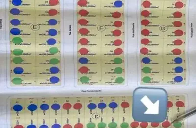 Terreno à venda na Rua Sinop, S/N, Jardim Araguaia II, Nova Mutum