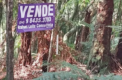Excelente terreno c/ 413m2 de esquina para quem quer investir não tenha pressa pra construir !!!