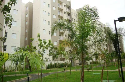 Apartamento com 3 dormitórios à venda, 70 m² por r$ 561.000,00 - morumbi - paulínia/sp