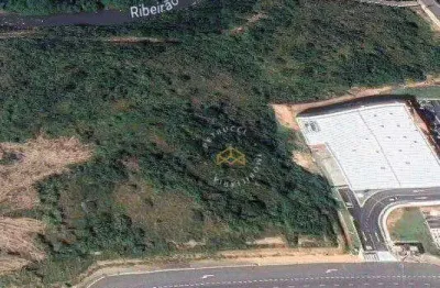 Terreno à venda, 2341 m² por r$ 7.099.443,00 - loteamento residencial arborais - campinas/sp