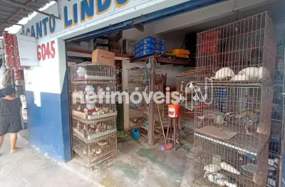 Terreno à venda na Rua das Acácias, Chácara Contagem, Contagem