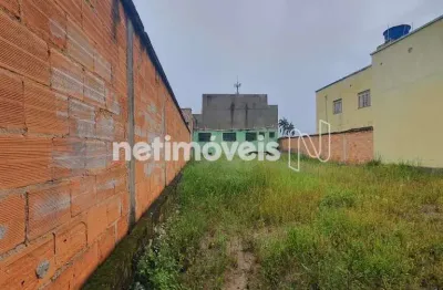 Terreno comercial para alugar na Rua São Sebastião do Paraiso, Vila Cristina, Betim