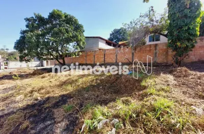 Terreno comercial para alugar na Rua Cortineiras, Campos Elíseos, Betim