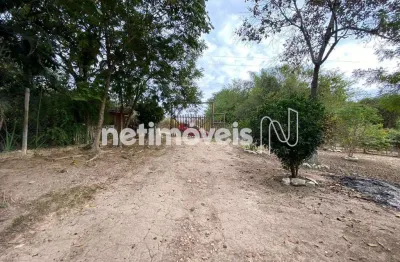 Chácara / sítio com 5 quartos à venda no Flores e Florestas, Betim 