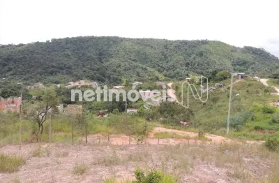 Lote com opção de contrução de casas geminadas, galpão, prédio etc...