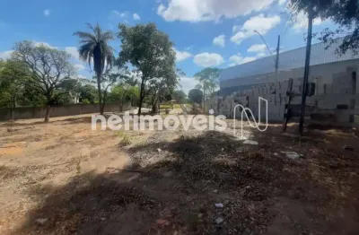 Chácara / sítio à venda na Alameda dos Tinhorões, Bandeirinhas, Betim