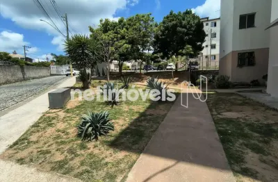 Apartamento com 2 quartos à venda na Rua Pau Brasil, Vila das Flores, Betim