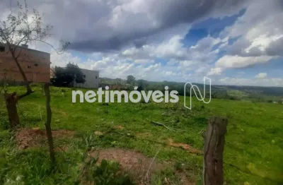 Terreno à venda na Avenida Fausto Ribeiro da Silva, Distrito Industrial Bandeirinhas, Betim