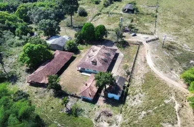 ️ fazenda dos sonhos – 97,203 ha em porto velho-ro natureza exuberante, conforto rústico e localização estratégica. uma propriedade única, com riacho, pasto pronto, casa em madeira de lei mobiliada e