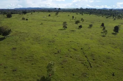 Oportunidade de Ouro no Agro! 210 alqueires de área produtiva, totalmente documentada e sem pendências ambientais. Ativo pronto para gerar renda — é adquirir e começar a colher resultados desde o prim