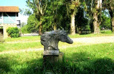 Terreno à venda na Avenida Edgar Pires de Castro, 5800, Lageado, Porto Alegre