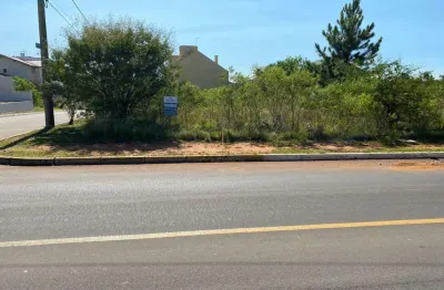 Terreno à venda na Avenida Açucena, Mont Serrat, Canoas