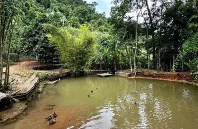 Chácara / sítio com 4 quartos à venda no Vale da Estação, Domingos Martins 
