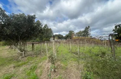 Terreno à venda na antonio dal piva, 23, tuiuty (distrito), bento gonçalves por r$ 2.150.000