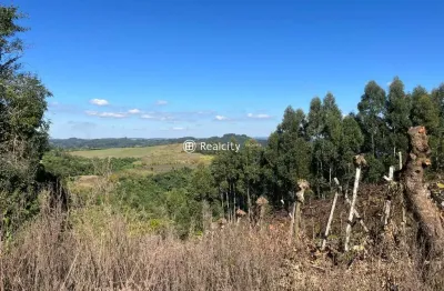 Terreno à venda na linha são jorge, 13, centro, coronel pilar por r$ 165.000