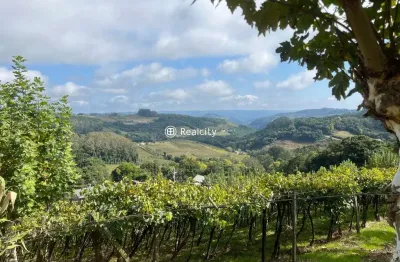 Terreno à venda na linha armênio, 402, centro, monte belo do sul por r$ 710.000