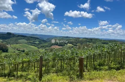 Terreno à venda na linha armênio, 401, centro, monte belo do sul por r$ 4.680.000