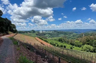 Terreno à venda na linha armênio, 400, centro, monte belo do sul por r$ 3.960.000